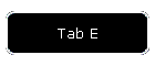 Tab E